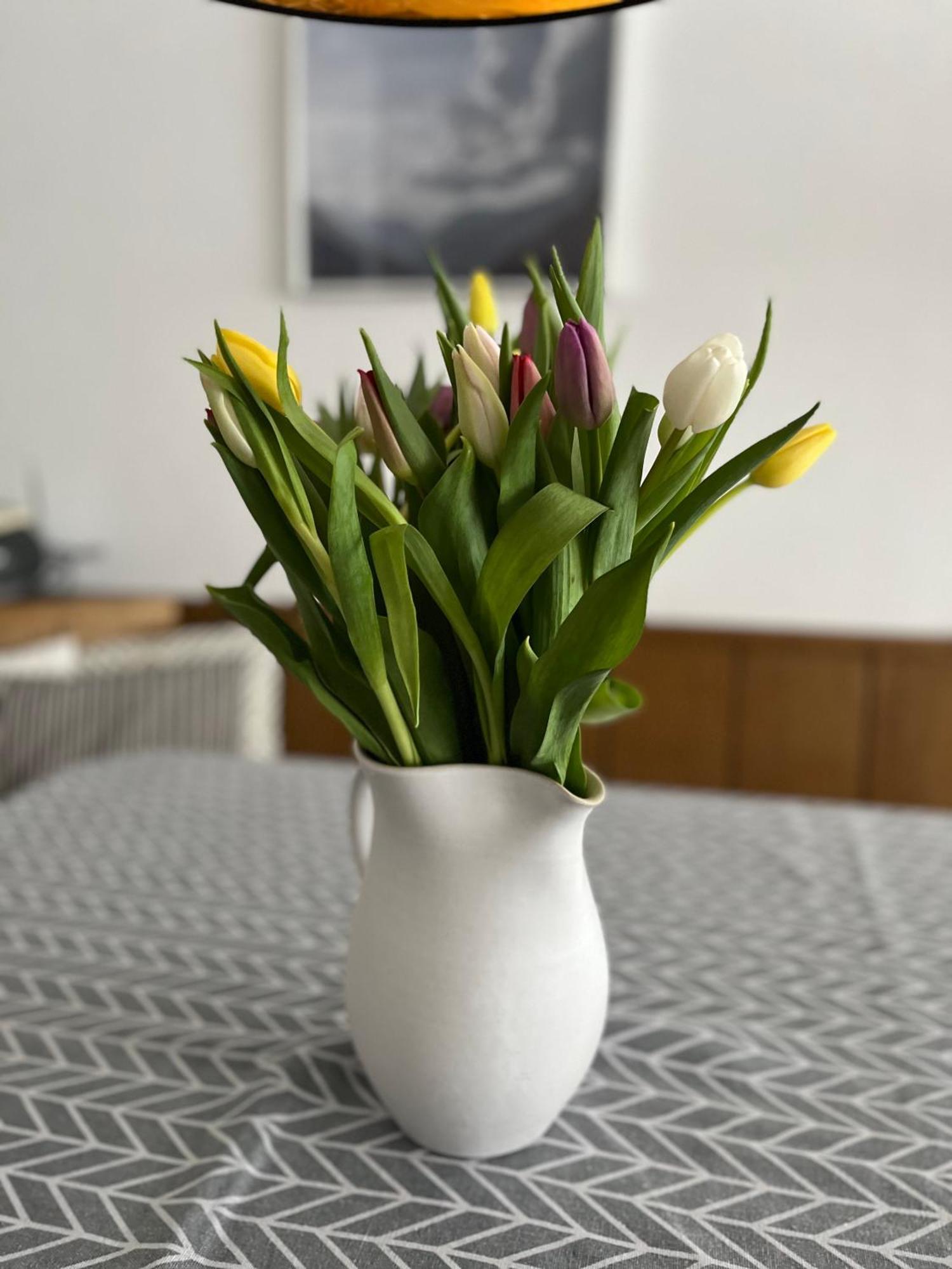 Bachwinkl Appartement Malejo Am Hochkoenig מראה חיצוני תמונה